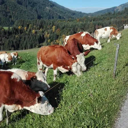 Lettengut, Bauernhof, Appartement Mühlbach am Hochkönig