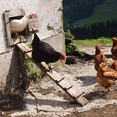 Appartement Lettengut, Bauernhof, Mühlbach am Hochkönig